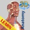 A true and totally 3D free app for studying human anatomy, built on an advanced interactive 3D touch interface