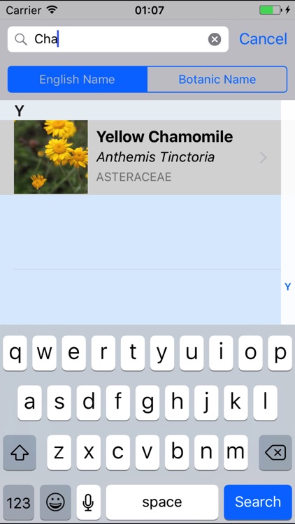Flower Field