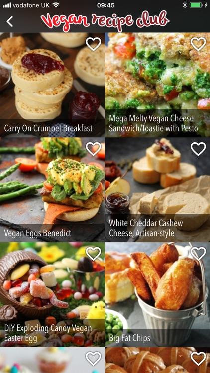 Vegan Recipe Club