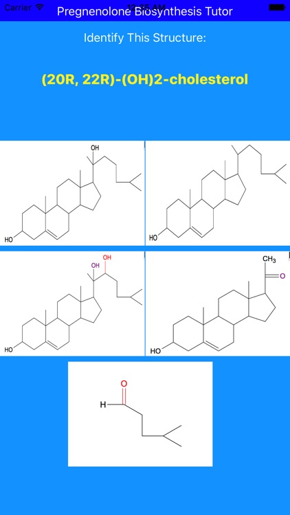 Pregnenolone Synthesis Tutor