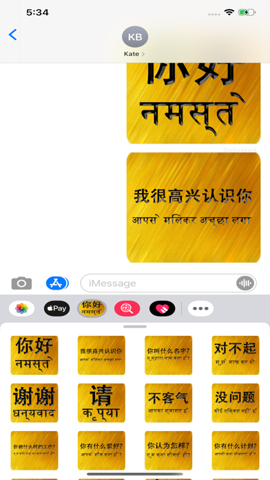 Chinese Hindi screenshot 4