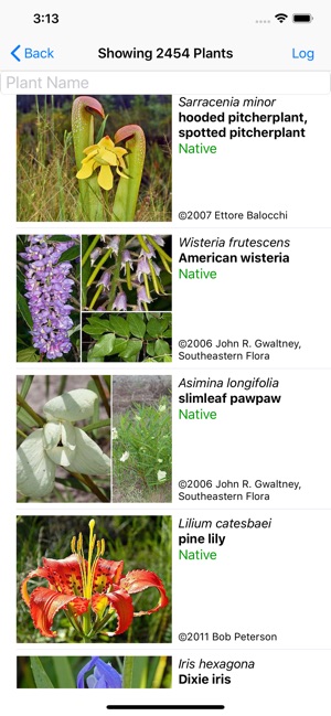 Florida Wildflowers(圖2)-速報App