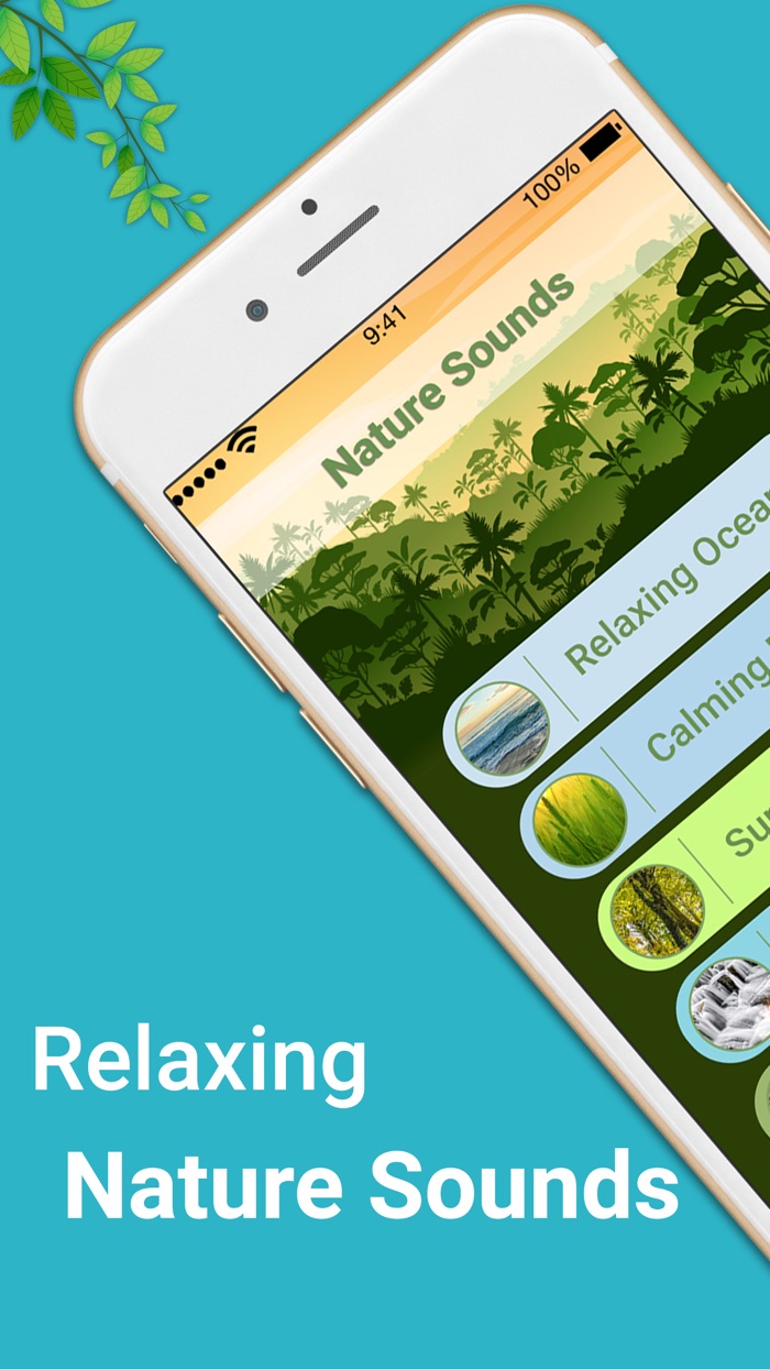 Calming Sounds of Nature 2020