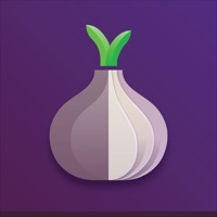 Torsec Browser pour PC