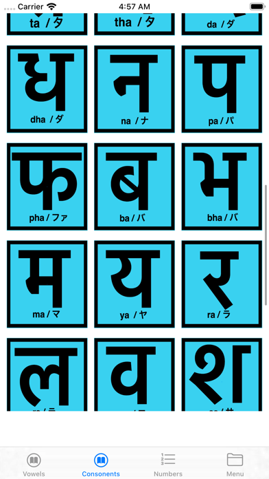 Nepali Phrase screenshot 4
