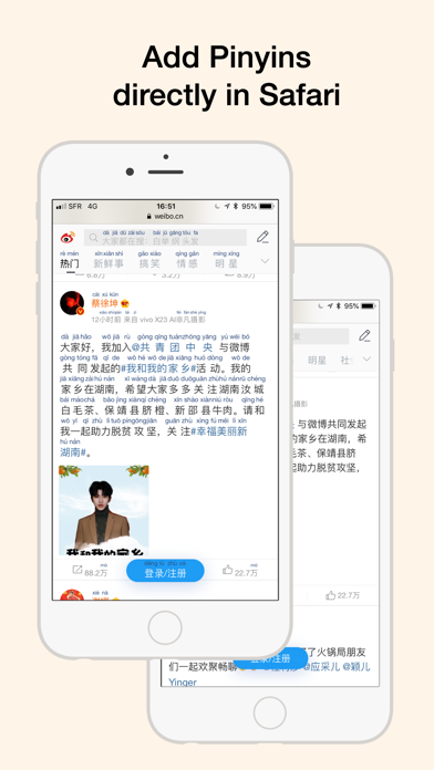 HanYou - 中国語辞書と光学式文字認識 screenshot1