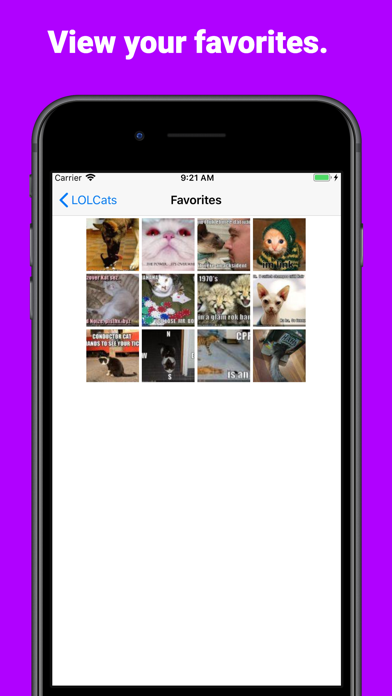 LOLCats Premiumのおすすめ画像4