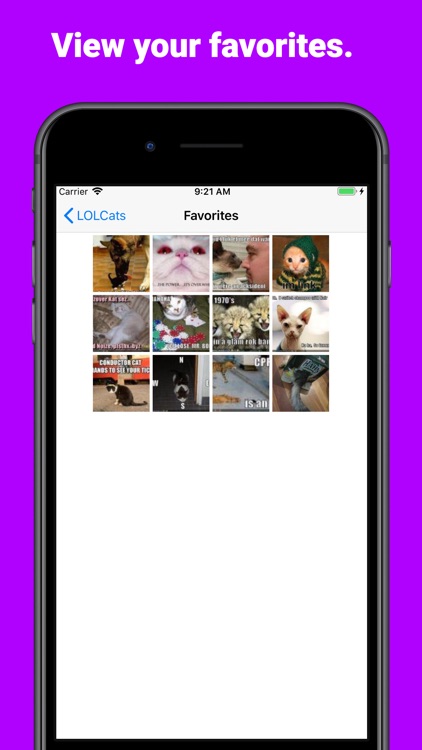 LOLCats Premium screenshot-3