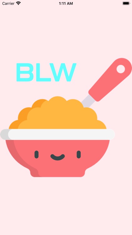 BLW Recipes