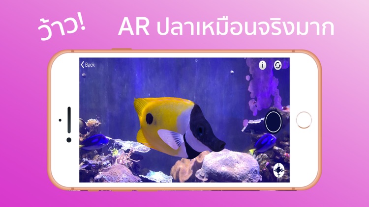 What's the Fish? screenshot-5