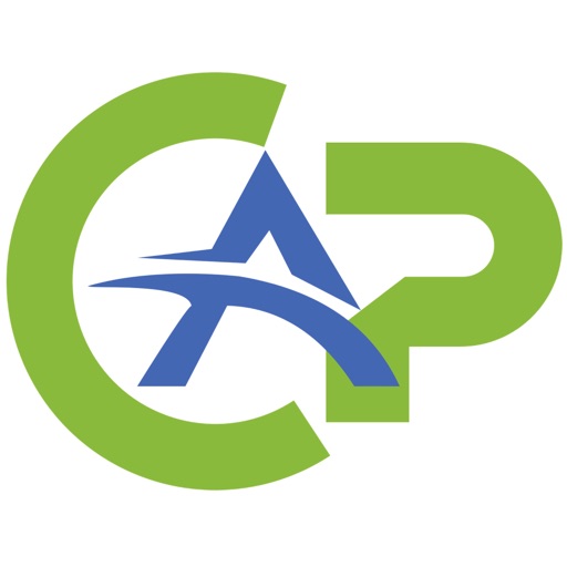 Career Action Plan (CAP)