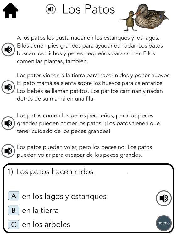 Spanish Reading Comprehension