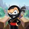 Ninja adventure game and action game with different