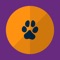 Cards of animals for early childhood development