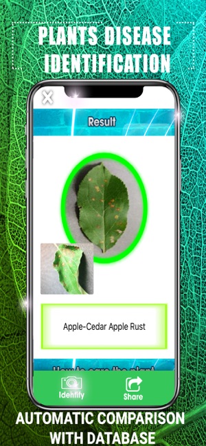 Plants Disease Identification(圖3)-速報App