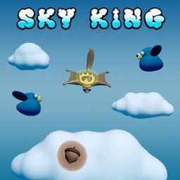 Sky King - The Flying Squirrel