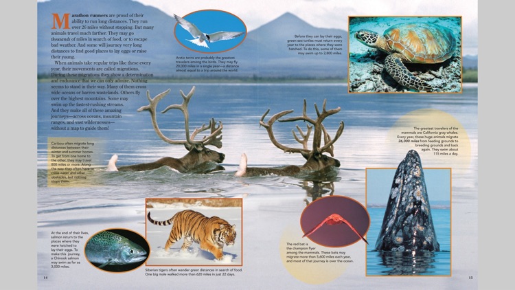 Ranger Rick Zoobooks screenshot-3