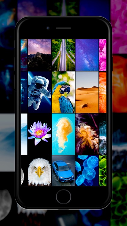 Live Wallpapers ·
