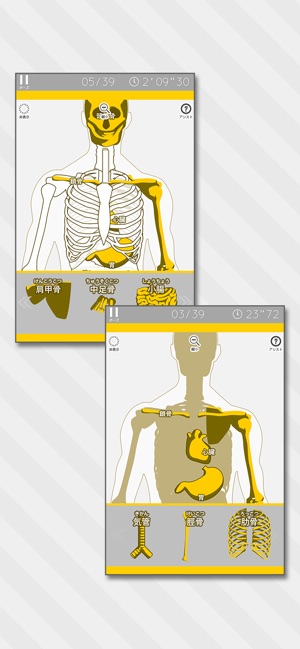 Enjoy Learning Anatomy puzzle(圖2)-速報App