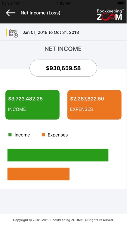 Bookkeeping ZOOM™ screenshot-4