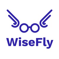 WiseFly pour PC