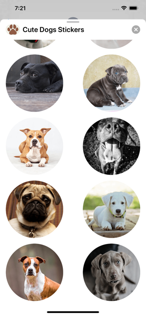 Dogs Sticker Collection(圖2)-速報App