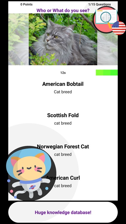 Cat Quiz Game 2019 screenshot-4