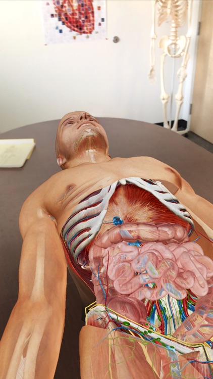 Human Anatomy Atlas 2020 screenshot-6