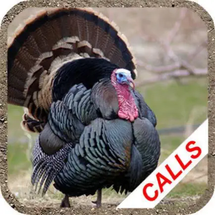 Turkey Hunting Calls - Читы