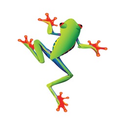 LiveFrog