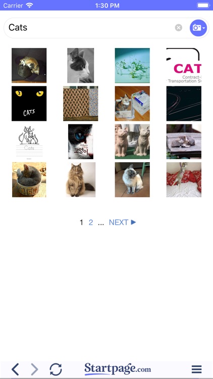 Startpage Private Search