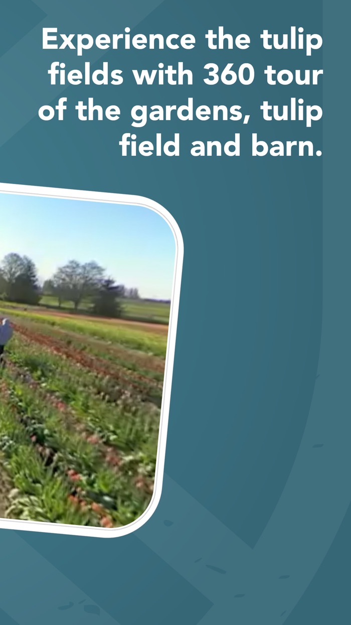 Tulip Town 360 Tour