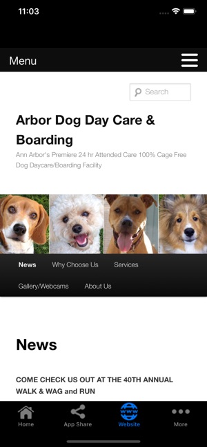wag boarding