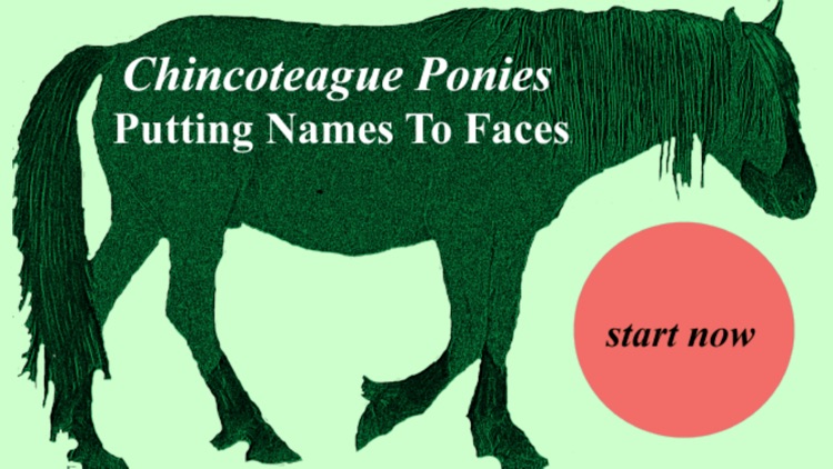 Chincoteague Pony Names
