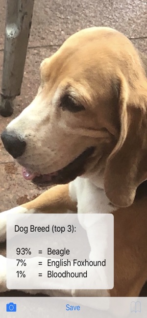 TPDogBreeds(圖2)-速報App