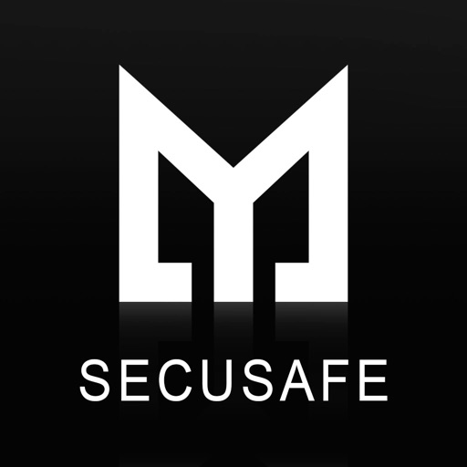 Moutec Security Safe