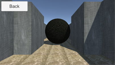VR Escape from Maze screenshot 4