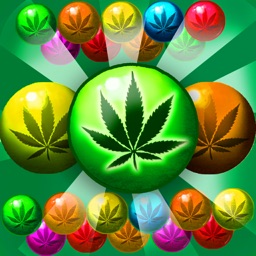 Weed Bubble Shooter Match 3