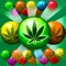 Play one of the craziest Weed Games match 3 bubble ever