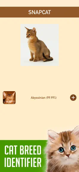 Game screenshot SnapCat - Cat Breed Identifier mod apk