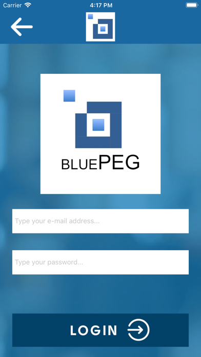 Blue Peg screenshot 4