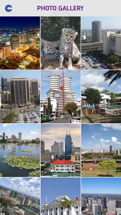 Nairobi Travel Guide screenshot-4