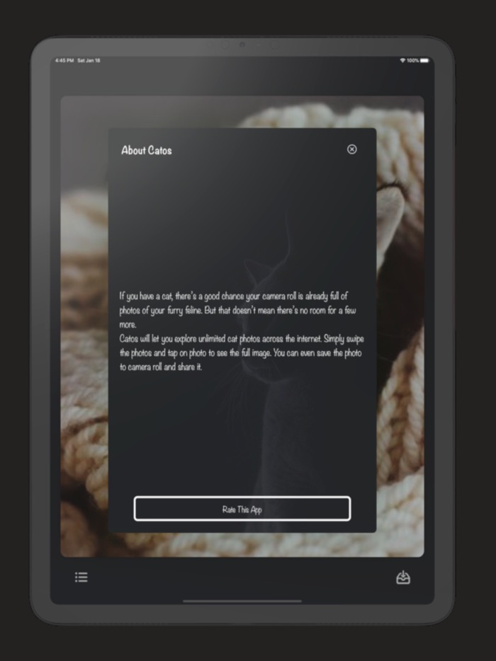 Catos  Ultimate Cat App