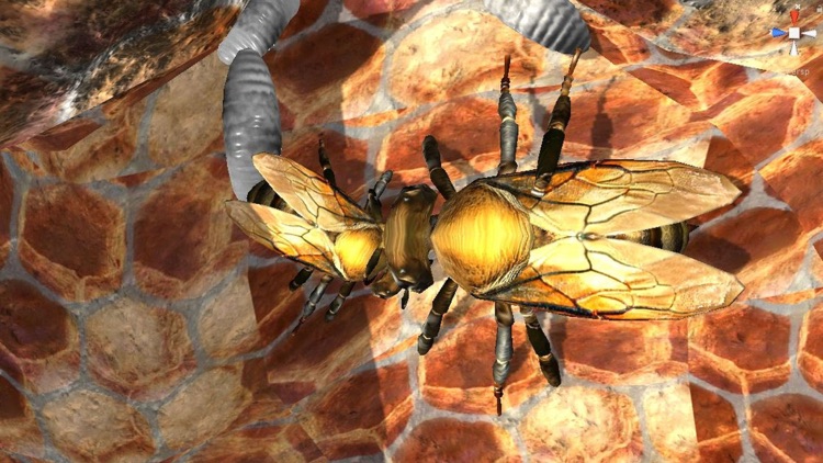 Bee Nest Simulator Full screenshot-3