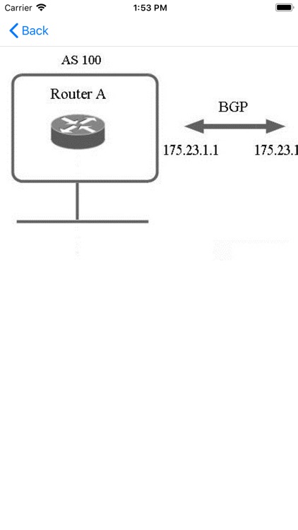 ExamSim For CCNP Route 300-101 screenshot-6