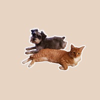 BFF Cats and Dogs pour PC