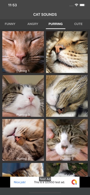 Cat Sounds - Collection(圖5)-速報App