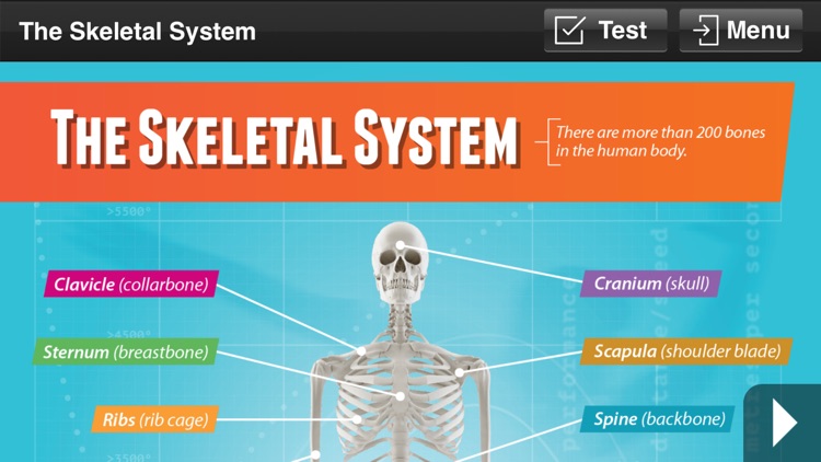 Physical Education GCSE screenshot-5