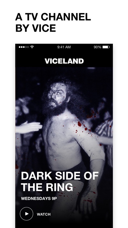 VICELAND screenshot-0