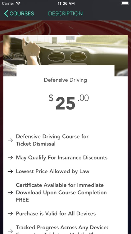 Texas Defensive Driving screenshot-3